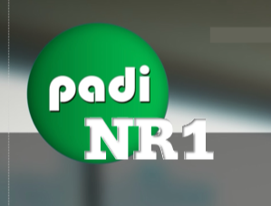 logo padi nr1.png